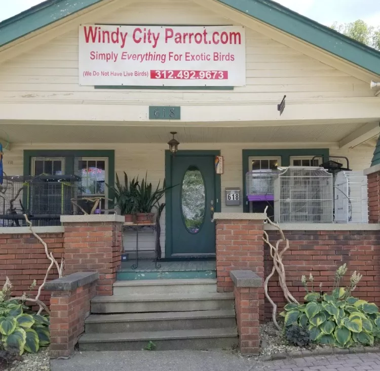 Windy City Parrot, Illinois, Lowell